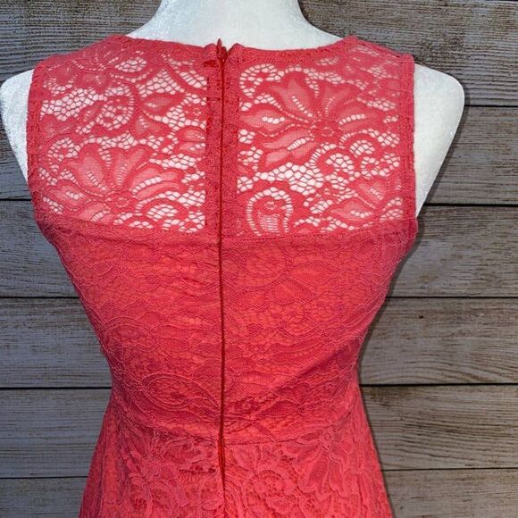 PinkBlush Lace Overlay Fit and Flare Dress (sz S) - Picture 4 of 9